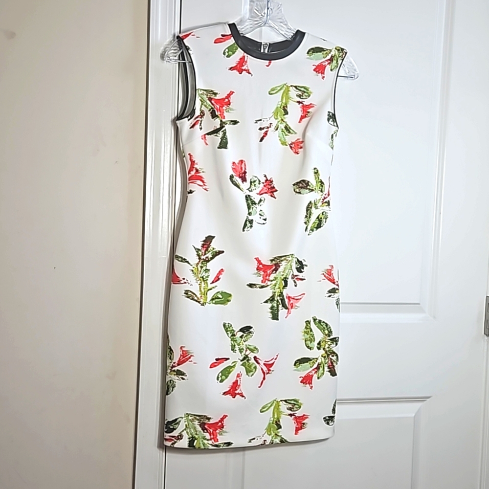 Lark & Ro Floral Dress